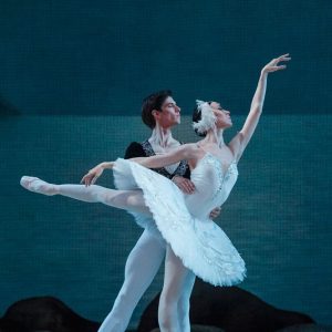 Réservez une séance master classe "le lac des cygnes" le XX/XX/XXXX à XXHXX exeptionnel !!!!